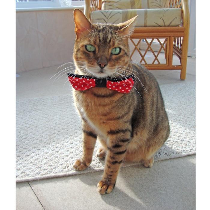 Reversible Pet Bow Tie Gent Supply Co.